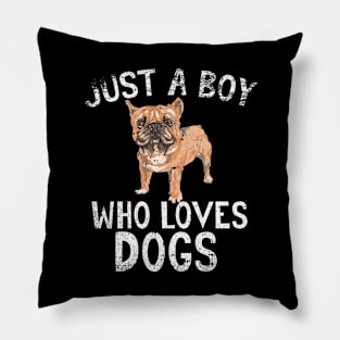 Just A Boy Who Loves Dogs Pillow