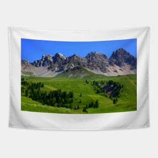 San Pellegrino Pass Tapestry