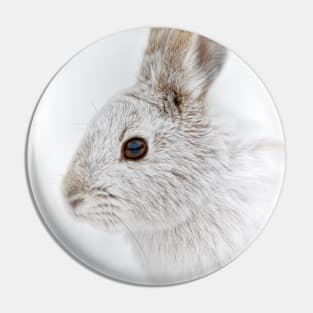 Snow Shoe Hare Pin