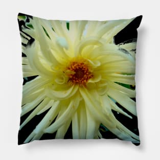 White Dahlia Pillow