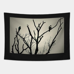 FALCON SKYLINES Tapestry
