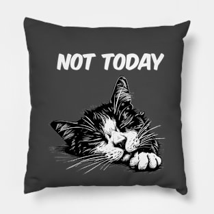 Not Today Funny Cat Pillow