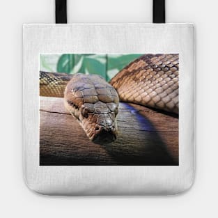 Amethystine Python Tote