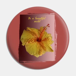 beautiful yellow hibiscus on gradient Pin