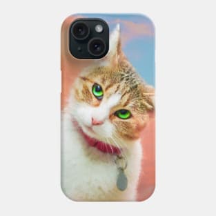 a cat tilting her head in the sky Phone Case