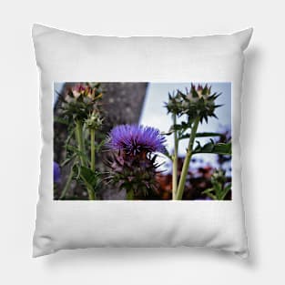 Purple Flower-Head Pillow