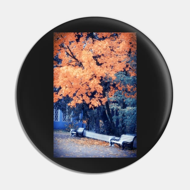 Autumn Park Pin by cinema4design