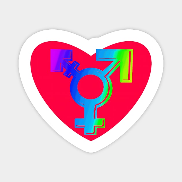 Trans Pride Magnet by Dandy Doodles