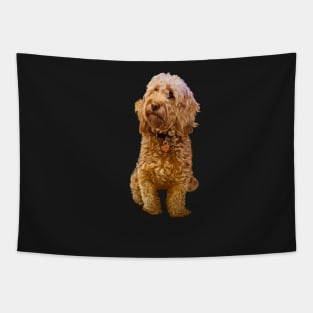 Cavapoo Cavoodle puppy ii - cute cavalier king charles spaniel Tapestry