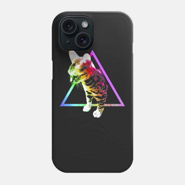 Rainbow Triangle Cat Phone Case by robotface