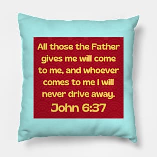 Bible Verse John 6:37 Pillow