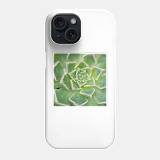 Echeveria Succulent Plant Phone Case