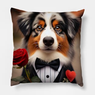 Australian shepherd dog in tuxedo with rose Pillow