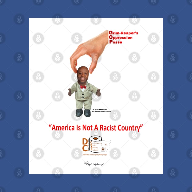 "America Is Not A Racist Country" by arTaylor