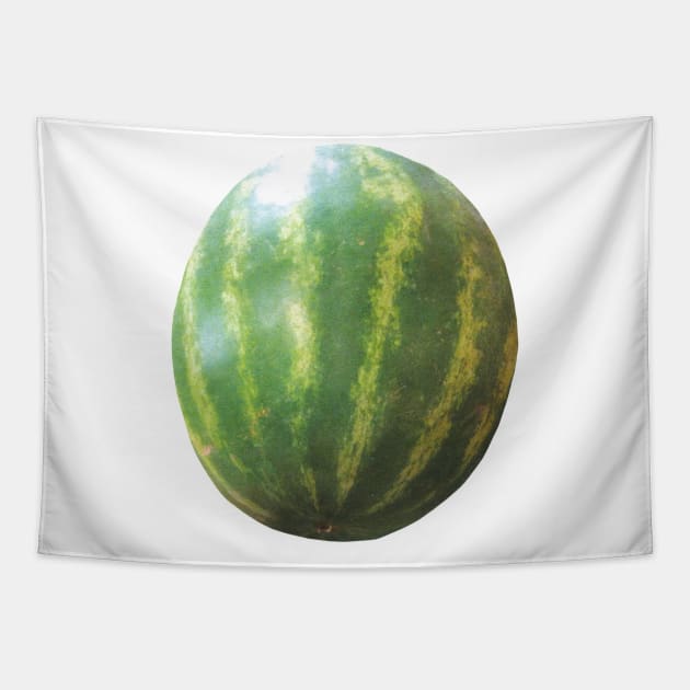 Watermelon Tapestry by Food Photography