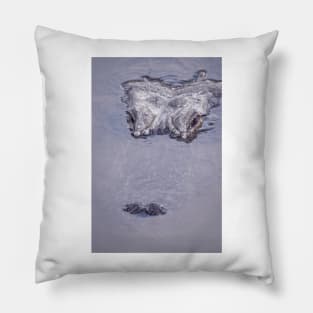 Alligator Lurking In the Water Pillow