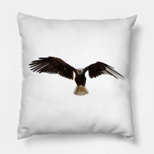 American bald Eagle Pillow