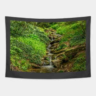 Small Mountain Waterfall Tapestry