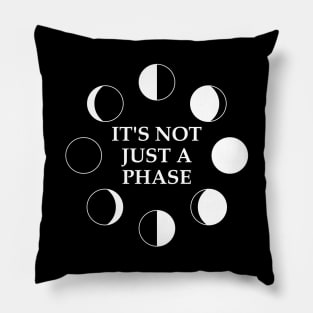 It's Not Just A Phase Pillow