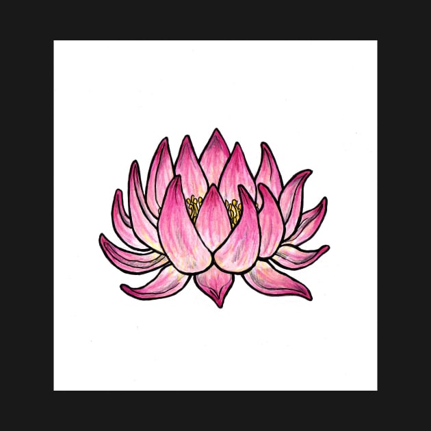 Pink Lotus Flower by sadnettles