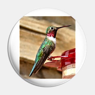 Hummingbird Pin