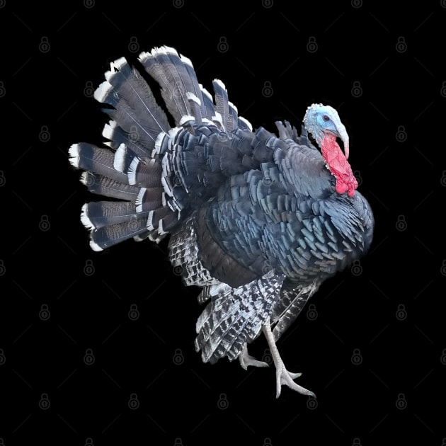 Retro Vintage Turkey Jive Gurkey Thanksgiving by BurunduXX-Factory