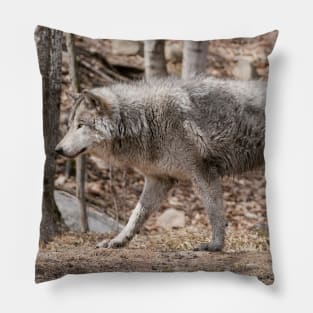 Gray Wolf Pillow