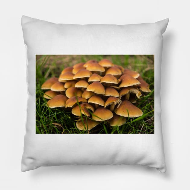 41418 mushroom Pillow by pcfyi