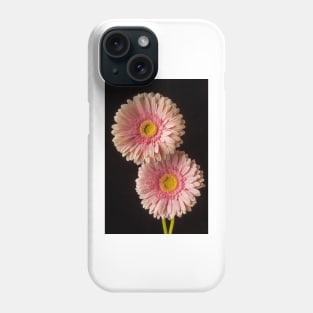 Two Dew Covered Pink Gerbera Daises Phone Case