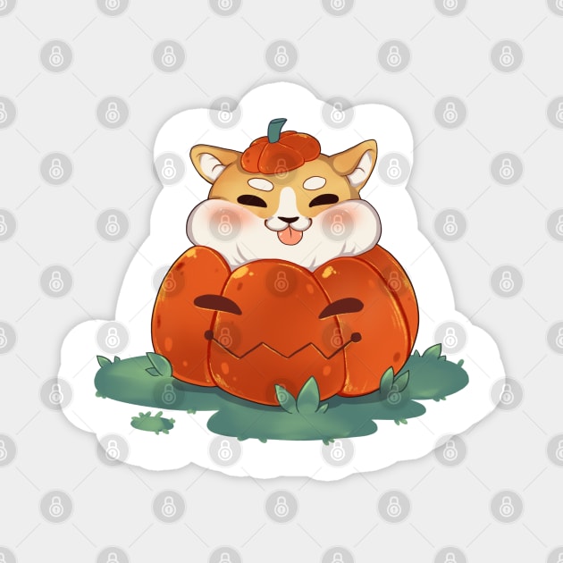 Cute dog in carved pumpkin Magnet by Itsacuteart