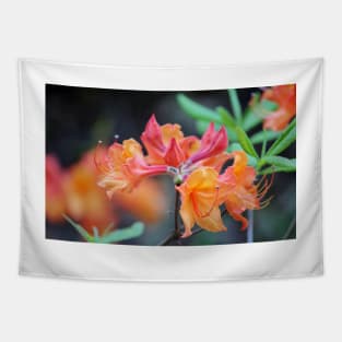 Pink And Peach Wild Azaleas Tapestry