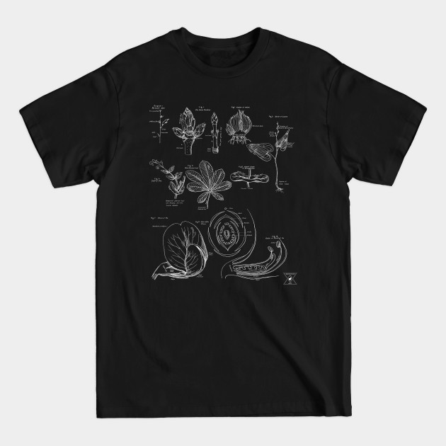 Disover Detailed Plant Illustration Shirt | Botanical Study of Flowers and Plants | For Nature Nerds and Garden Geeks - Flowers - T-Shirt