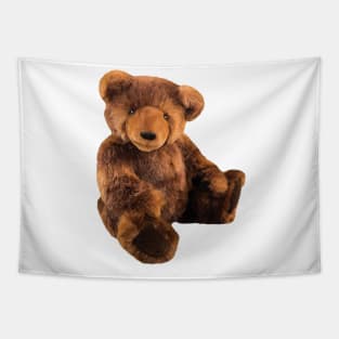 Brown Bear Tapestry