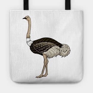 Ostrich Tote