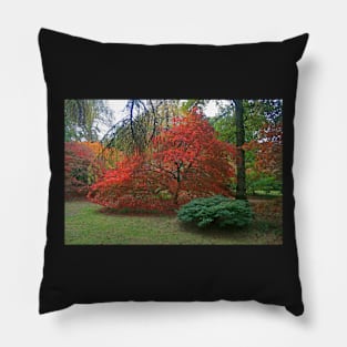 Autumn Colours 2014 Pillow