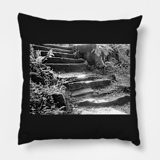 Steps Through the Forest Pillow