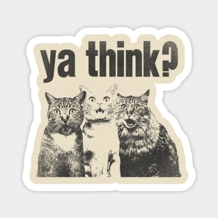 Ya Think? Funny horrified Cats Meme Magnet