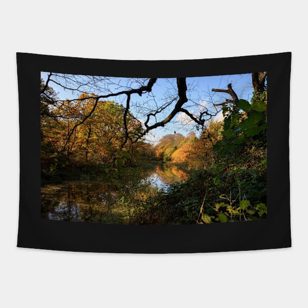 Wanstead Park Tapestry by Z Snapper