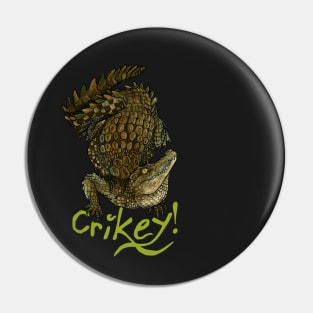 Crocodile Crikey! Pin