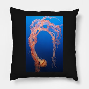 Flamboyant Jelly Pillow