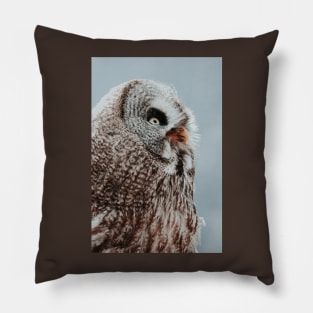 Owl portrait Pillow