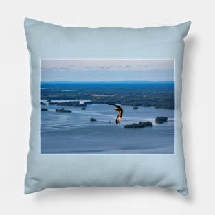 White tailed Eagle Pillow