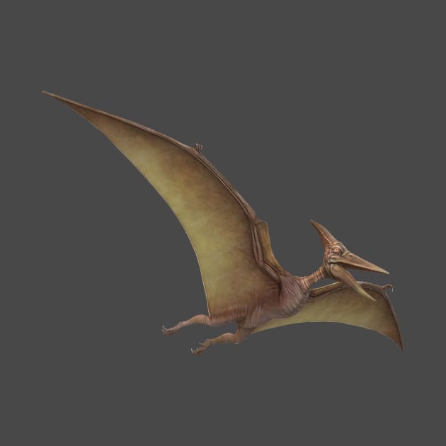 pterodactyl dinosaur pre historic reptile by myouynis