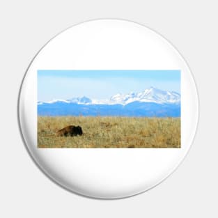 Lone Buffalo watching the Rocky Mountains Pin