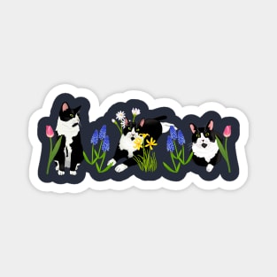 Tuxedo cat floral Magnet