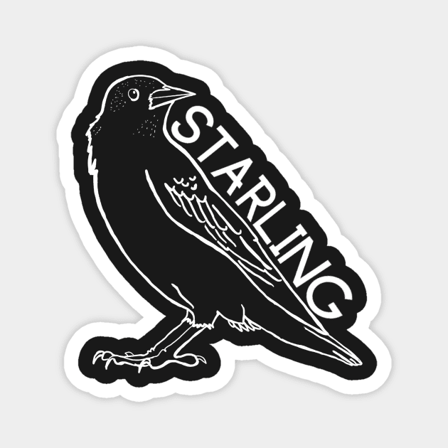 Starling Blackbird Magnet by StarlingAmy