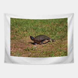 Jogging Turtle Style Tapestry