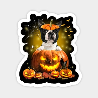 Black Boston Terrier Spooky Halloween Pumpkin Dog Head Magnet