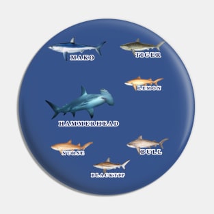 Favorite Florida Keys Sharks Pin