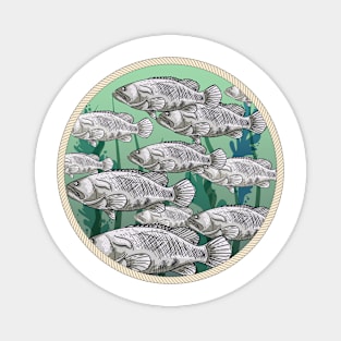 Round Fish Stamp Magnet